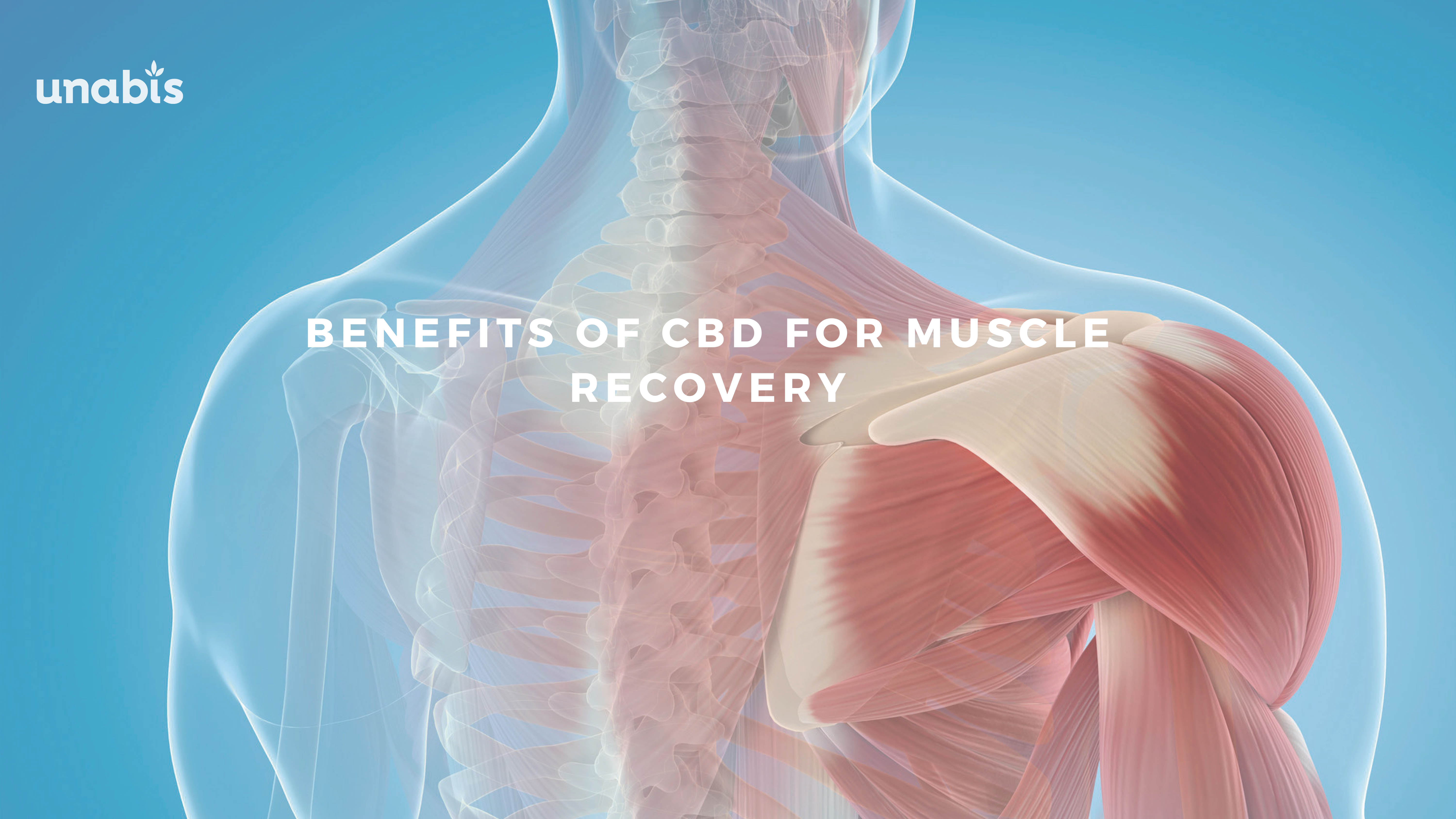 Benefits of CBD for Muscle Recovery